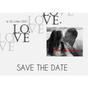 Magnet save the date  Alice et Didier