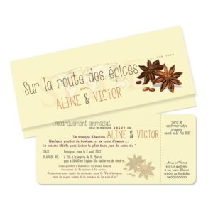 Faire part billet avion "thème épice"