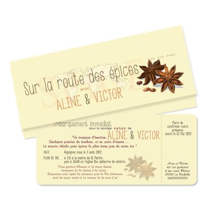 Faire part billet avion "thème épice"