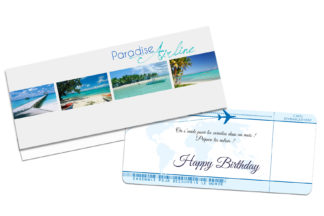 Pochette cadeau billet d’avion- Destination Caraïbes