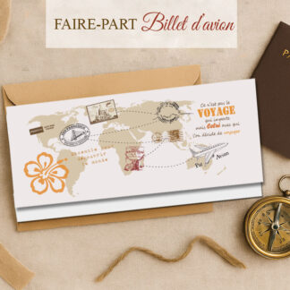 Faire part billet d'avion