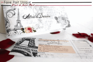 Echantillon faire part billet d'avion "paris vintage"
