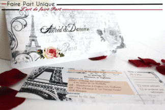 Echantillon faire part billet d'avion "paris vintage"